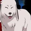 Avatar of TheRealAkamaru