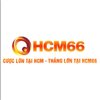 Avatar of Hcm66 News