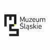 Avatar of Muzeum Slaskie in Katowice