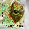 Avatar of studio_cameleon