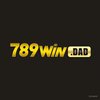 Avatar of 789windad