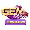 Avatar of gamewintown