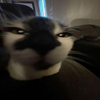 Avatar of bliizzy