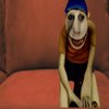 Avatar of Comic.sans