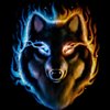 Avatar of Fire wolf