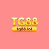 Avatar of tg88lol