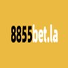 Avatar of 8855betstudy