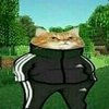 Avatar of Bafner