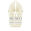 Avatar of Museo etrusco di Populonia Collezione Gasparri