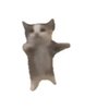 Avatar of lshun2202