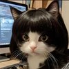 Avatar of Nautic News