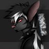 Avatar of Kwilz