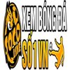 Avatar of Socolive