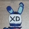 Avatar of El tollinxd
