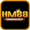 Avatar of hm88