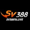 Avatar of sv388t6live