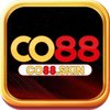 Avatar of co88skin