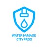 Avatar of Water Damage City Pros of Winchester