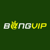 Avatar of bongvip1234