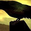 Avatar of 2hi_2hi