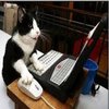Avatar of KiGlMax