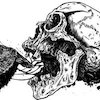 Avatar of LavrNikitin