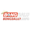 Avatar of bongdalu7info