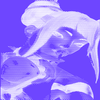 Avatar of zzRho