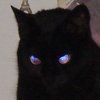 Avatar of Lynx