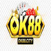 Avatar of ok88city