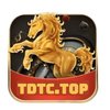 Avatar of tdtc11g