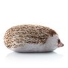 Avatar of Bloptop