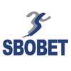 Avatar of dailysbobetz