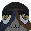 Avatar of Benve