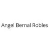 Avatar of Angel Bernal Robles