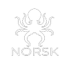 Avatar of NORSK Remote Sensing