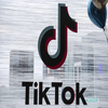 Avatar of [!!TR1CK!!]  Tiktok Followers For Free