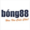 Avatar of BONG88