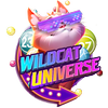 Avatar of wildcatuniversecom