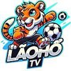 Avatar of laohotvtechvn