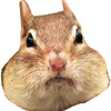 Avatar of YouGaming