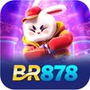 Avatar of BR878