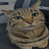 Avatar of J0SH3M