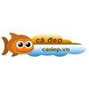 Avatar of Cadep