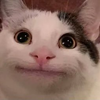 Avatar of miniMinn