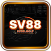 Avatar of sv88golf