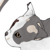 Avatar of Flarerun