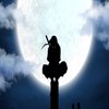 Avatar of Scisox02