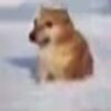Avatar of l2151560963
