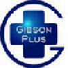 Avatar of Gibsonplus